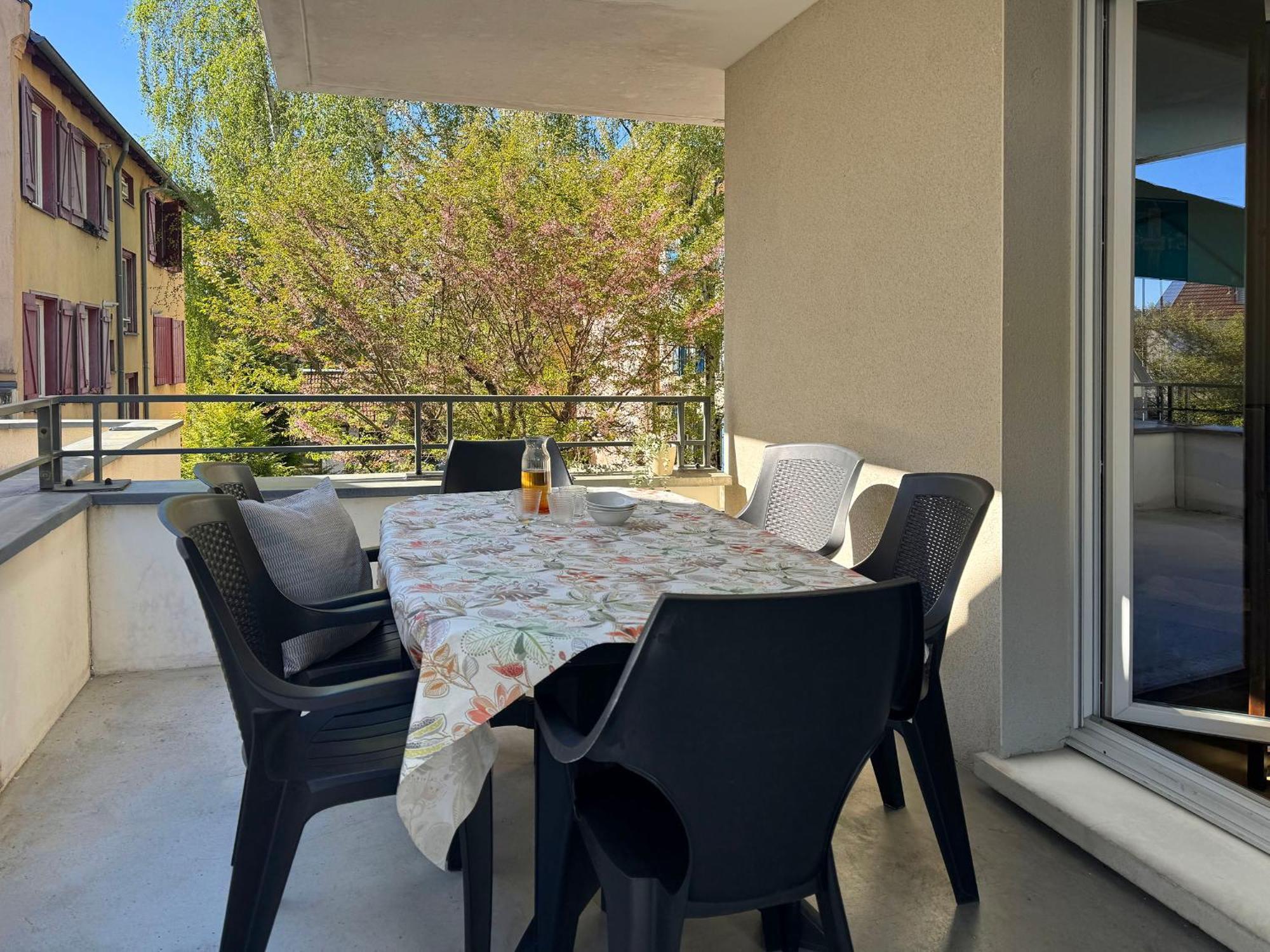 Joli 3p Avec Terrasse Et Garage Proche Centre * Strasbourg
